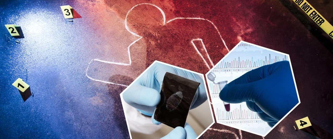 2401 iqcafe KRIMI  1920 x 804